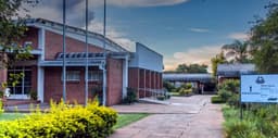 Petra College Senior
