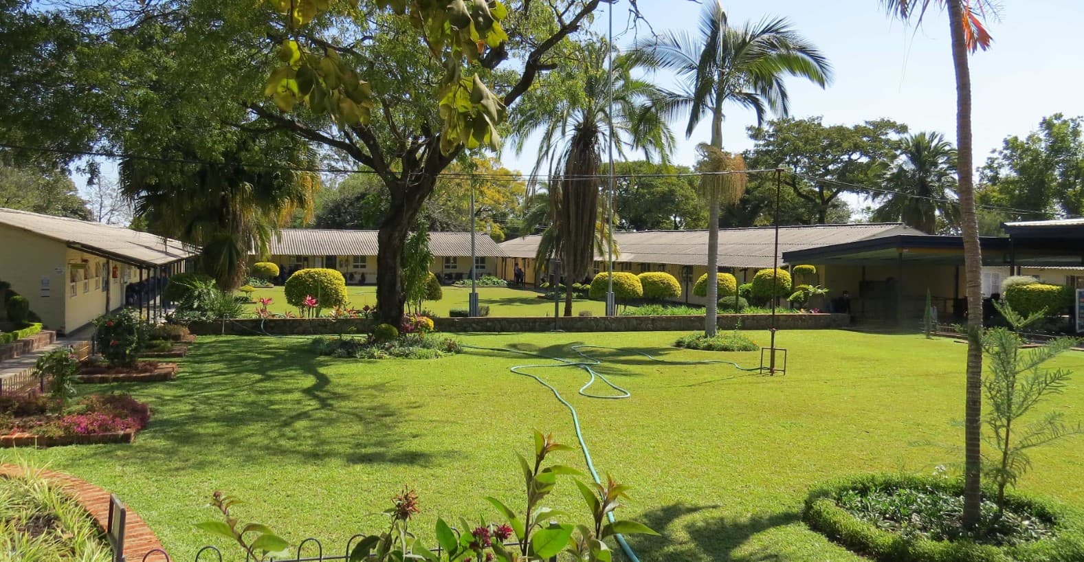 Goldridge Primary School