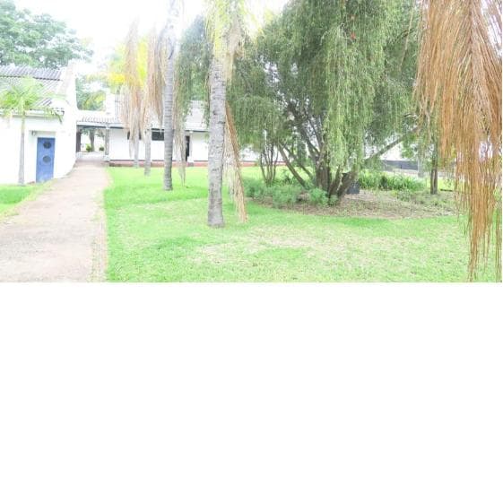 Barwick Primary School